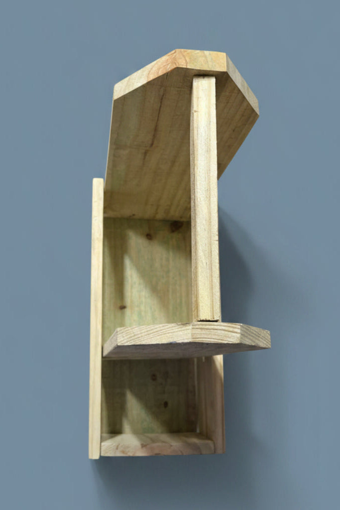 View While Looking Down at the Wooden Picnic Caddy