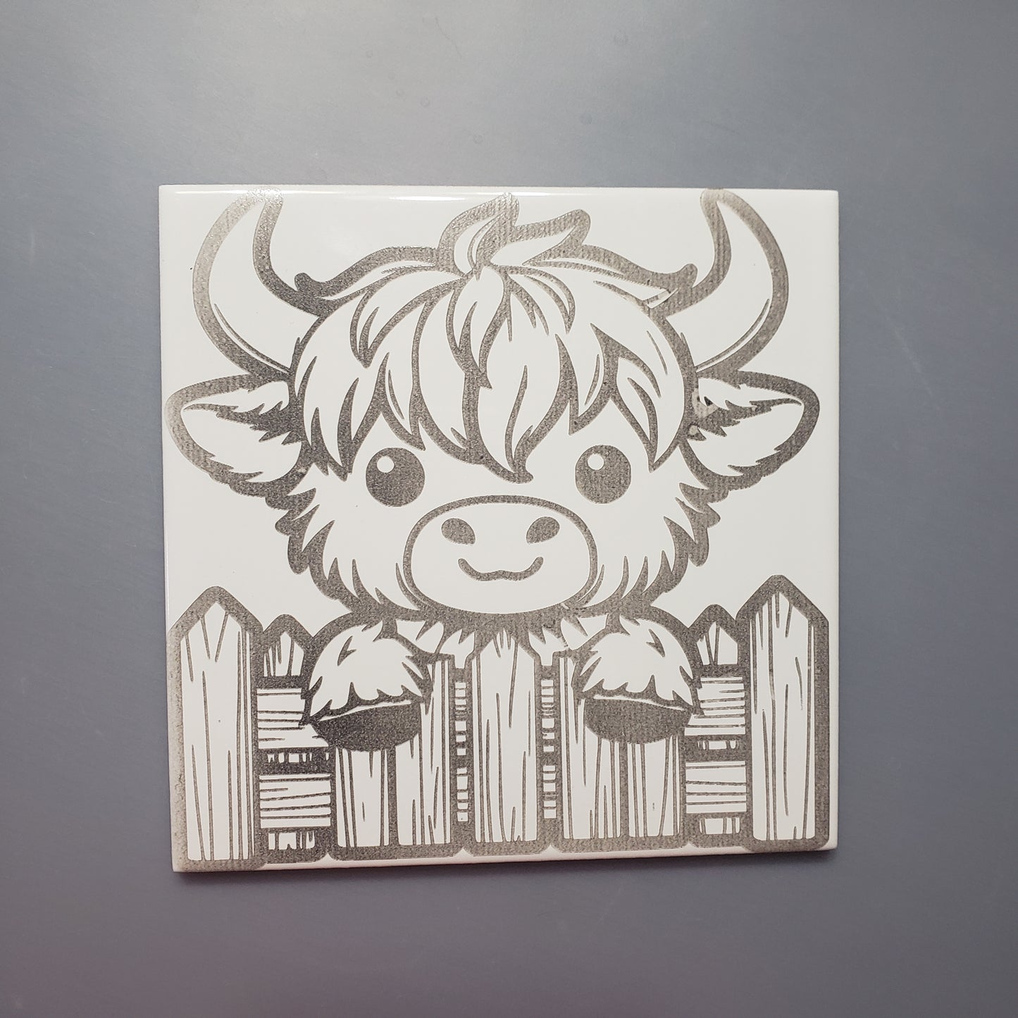 6"x6" Ceramic tile with a playful highland cow peeking over the fence